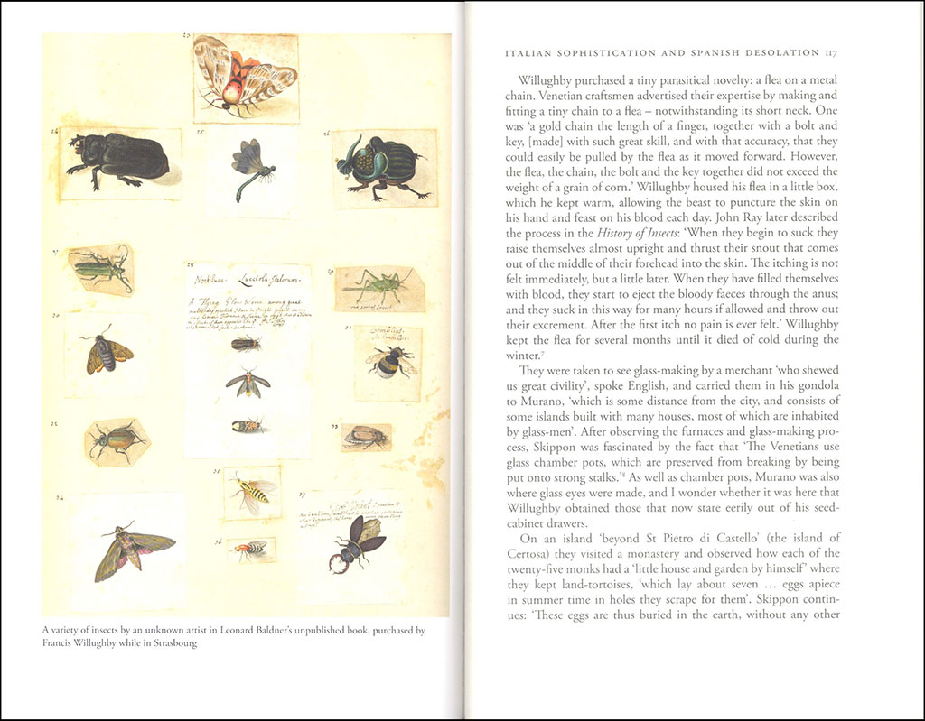 THE WONDERFUL MR WILLUGHBY: THE FIRST TRUE ORNITHOLOGIST 4