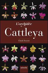 L'ORCHIDÉE CATTLEYA 1