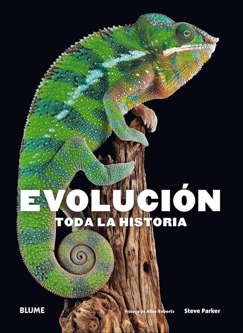 EVOLUCIÓN. TODA LA HISTORIA                                                                                                                            1