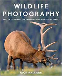 WILDLIFE PHOTOGRAPHY PROVEN TECHNIQUES FOR CAPTURING STUNNING DIGITAL IMAGES 1