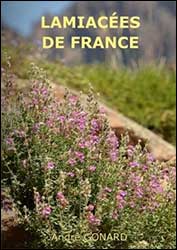 LAMIACÉES DE FRANCE 2