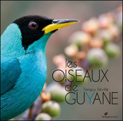LES OISEAUX DE GUYANE 1