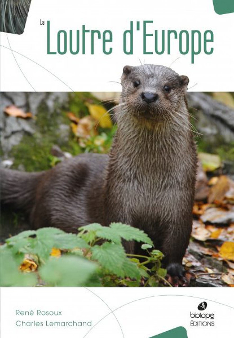 LA LOUTRE D'EUROPE