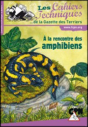 À LA RENCONTRE DES AMPHIBIENS 2