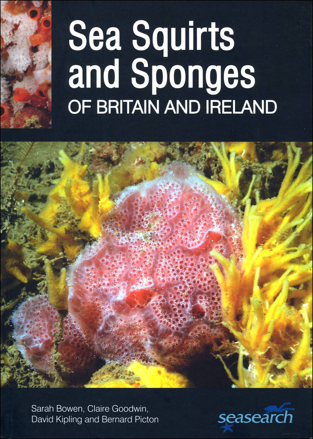 SEA SQUIRTS AND SPONGES OF BRITAIR AND IRELAND