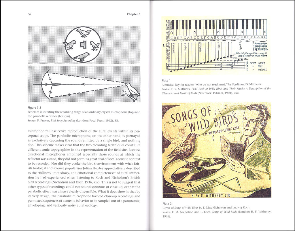 LISTENING IN THE FIELD 4