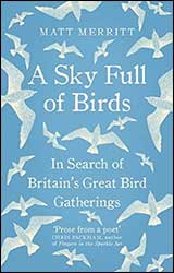 A SKY FULL OF BIRDS