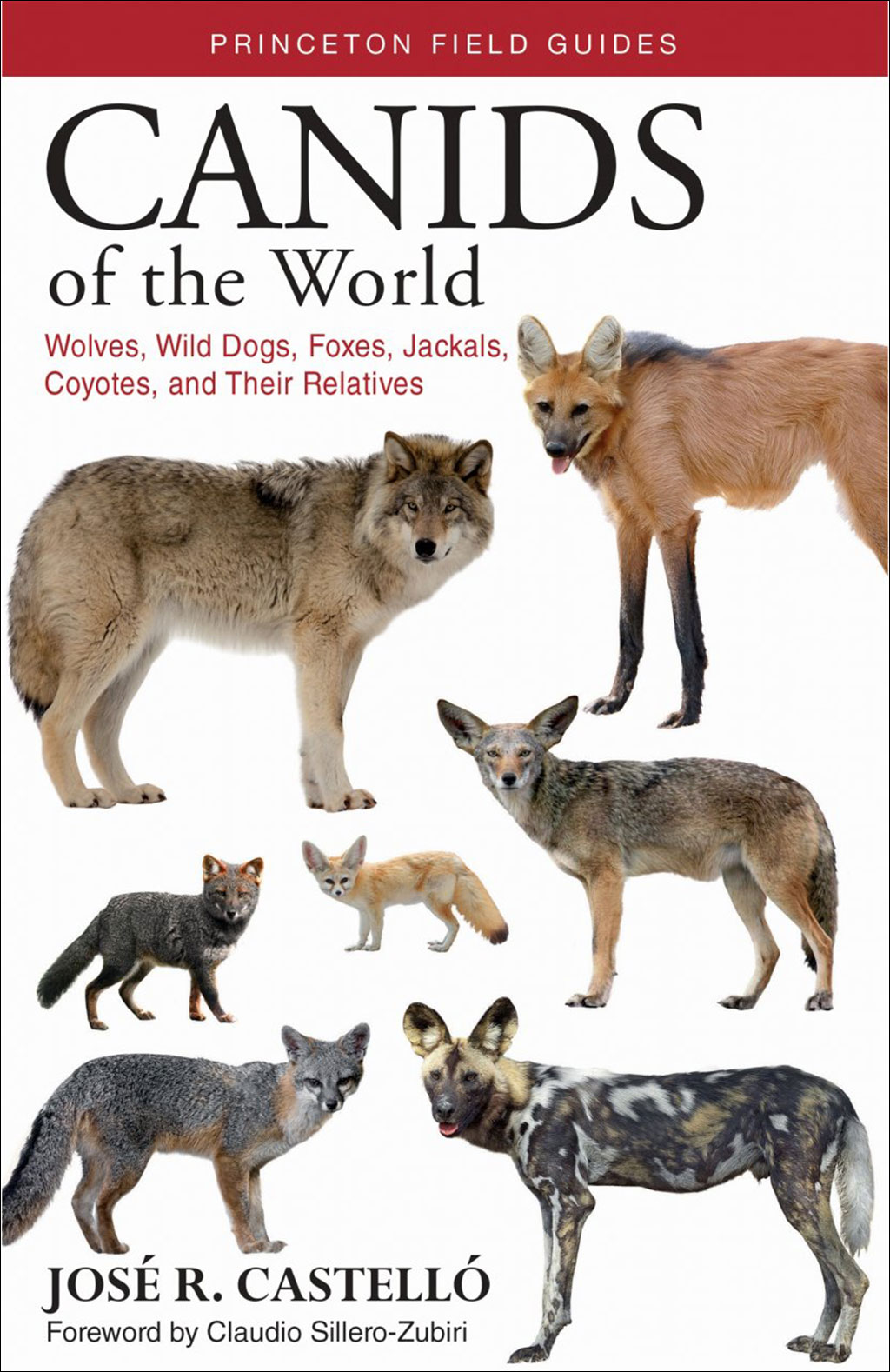CANIDS OF THE WORLD. WOLVES, WILD DOGS, FOXES, JACKALS, COYOTES, AND THEIR RELATIVES 1