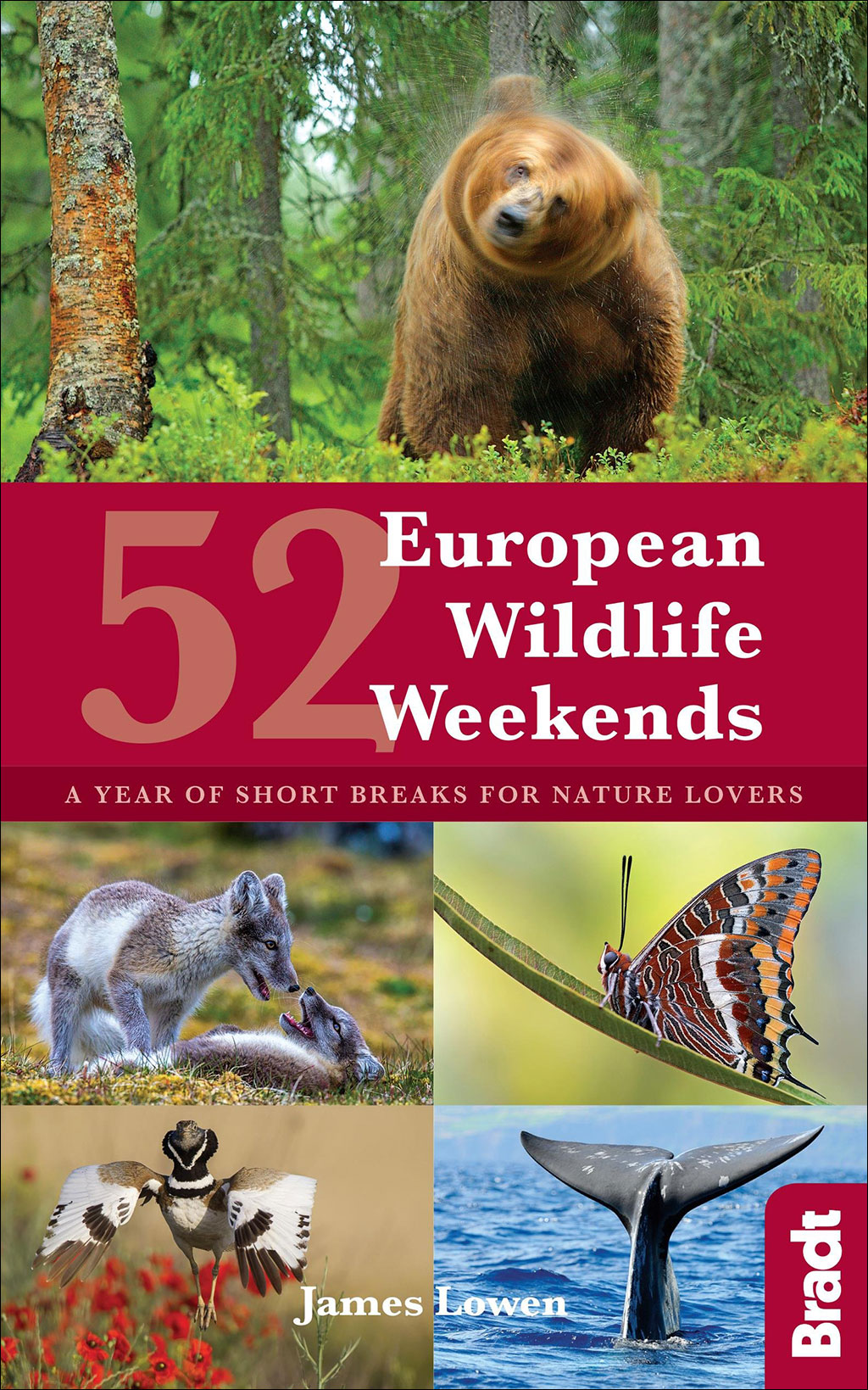 52 EUROPEAN WILDLIFE WEEKENDS: A YEAR OF SHORT BREAKS FOR NATURE LOVERS