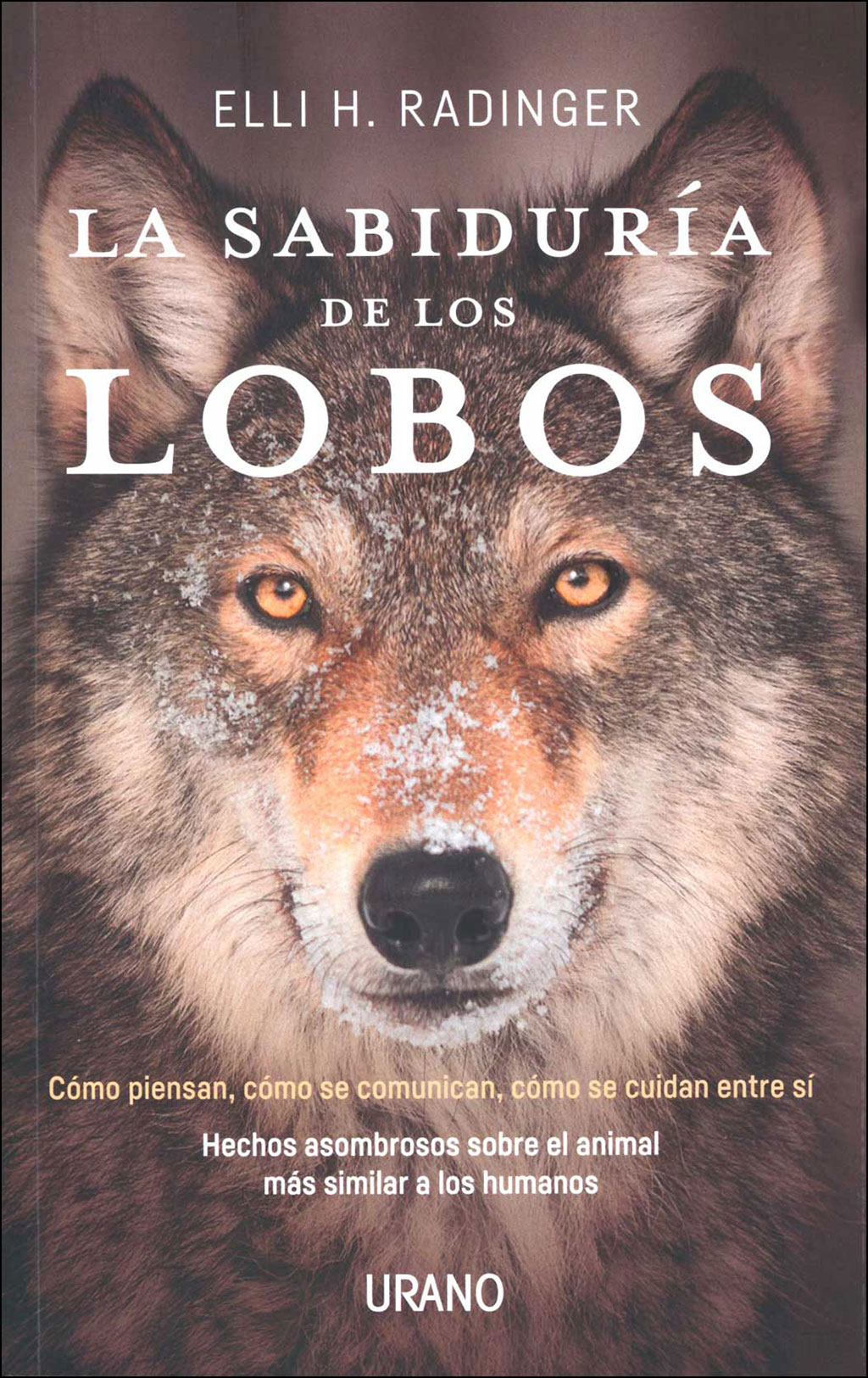 LA SABIDURÍA DE LOS LOBOS 1