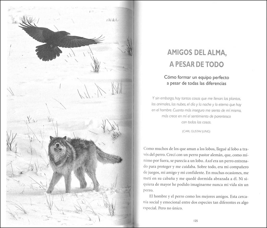 LA SABIDURÍA DE LOS LOBOS 3