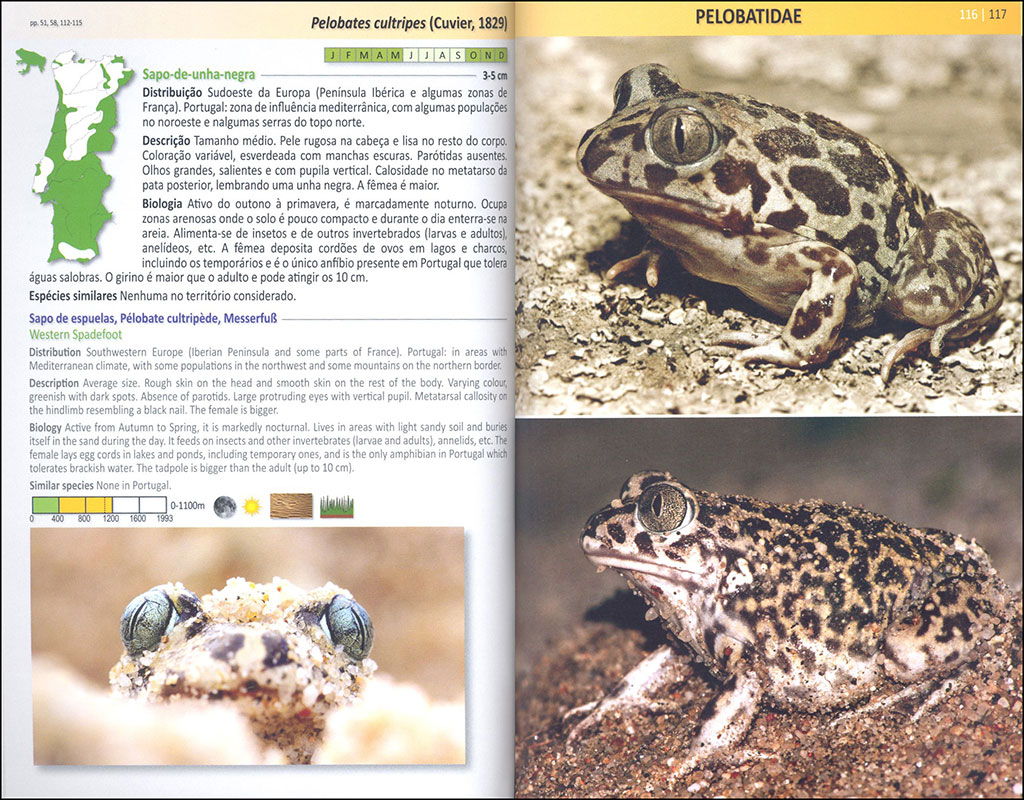 ANFÍBIOS E RÉPTEIS DE PORTUGAL/AMPHIBIANS AND REPTILES OF PORTUGAL 2