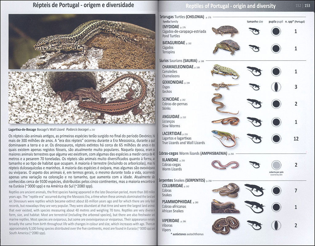 ANFÍBIOS E RÉPTEIS DE PORTUGAL/AMPHIBIANS AND REPTILES OF PORTUGAL 3