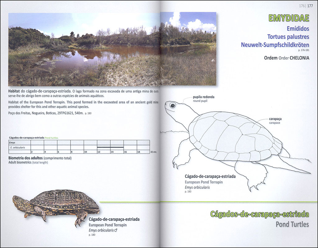 ANFÍBIOS E RÉPTEIS DE PORTUGAL/AMPHIBIANS AND REPTILES OF PORTUGAL 4