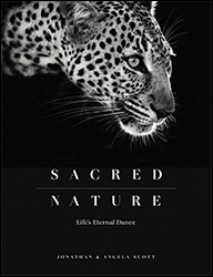 SACRED NATURE FROM THE BIG CAT PEOPLE