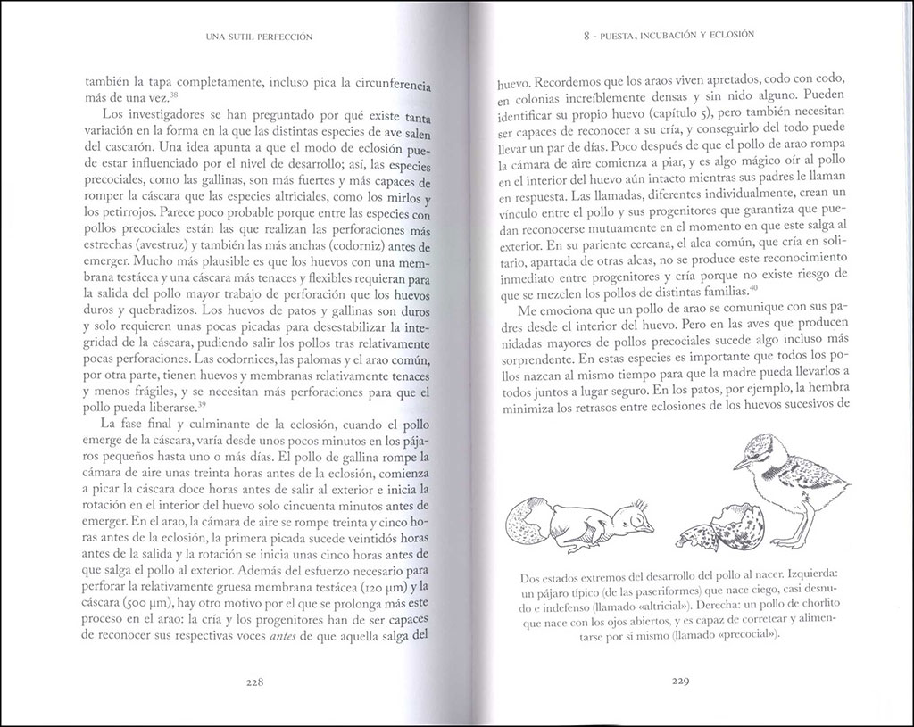 UNA SUTIL PERFECCIÓN. UN VIAJE POR EL INTERIOR (Y EL EXTERIOR) DEL HUEVO DE LAS AVES 3