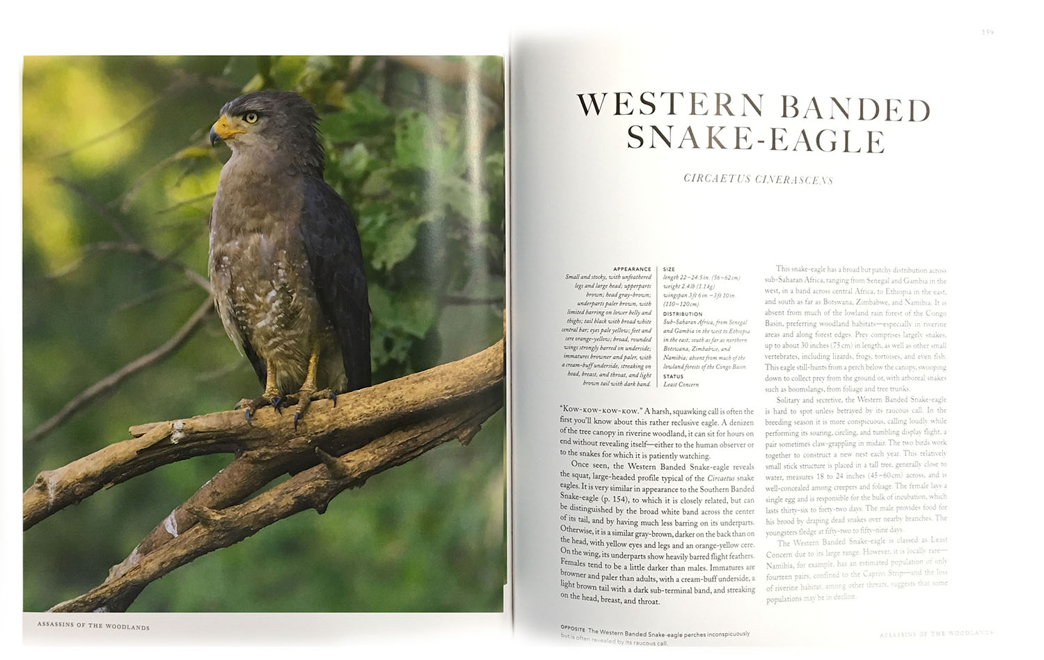 THE EMPIRE OF THE EAGLE: AN ILLUSTRATED NATURAL HISTORY 2