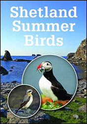 SHETLAND SUMMER BIRDS 1