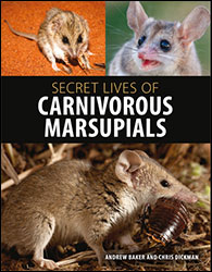 SECRET LIVES OF CARNIVOROUS MARSUPIALS