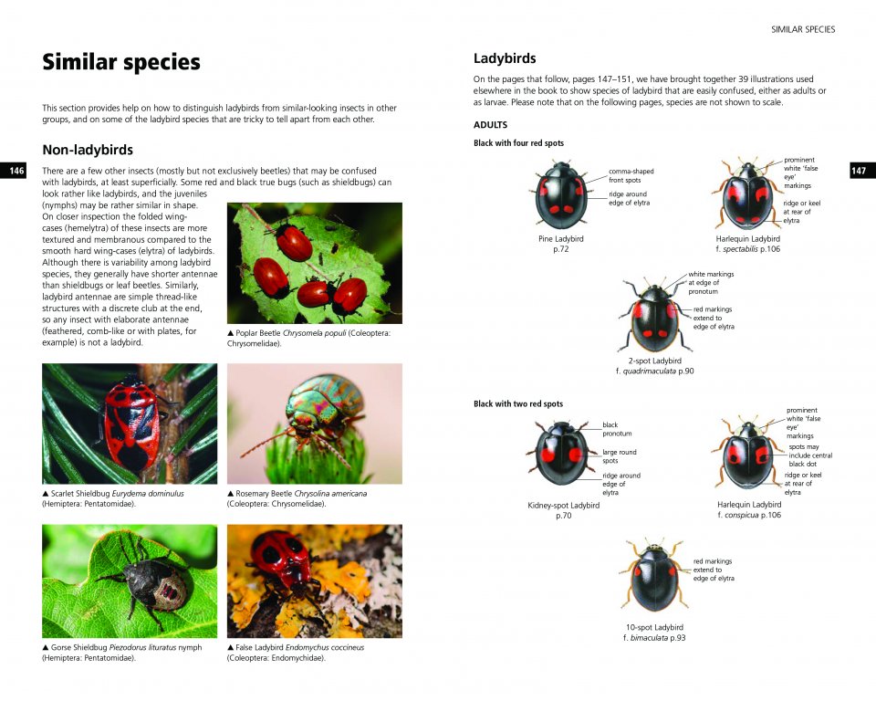 FIELD GUIDE TO THE LADYBIRDS OF BRITAIN AND IRELAND 6
