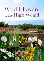 WILD FLOWERS OF THE HIGH WEALD