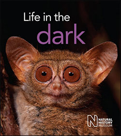 LIFE IN THE DARK