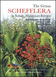 THE GENUS SCHEFFLERA IN SABAH, MALAYSIAN BORNEO