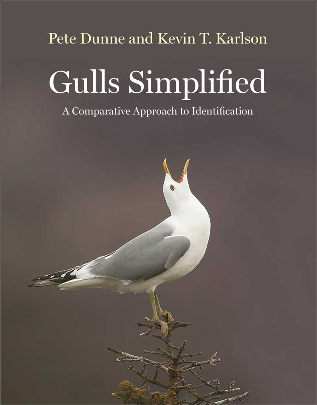GULLS SIMPLIFIED: A COMPARATIVE APPROACH TO IDENTIFICATION 1
