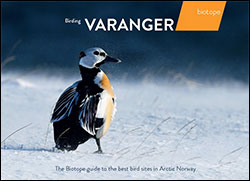 BIRDING VARANGER. THE BIOTOPE GUIDE TO THE BEST BIRDING SITES IN ARCTIC NORWAY 1