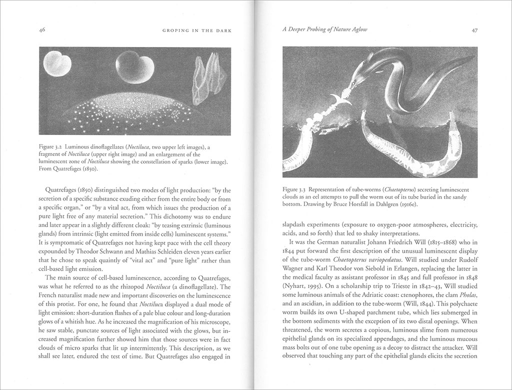 LUMINOUS CREATURES: THE HISTORY AND SCIENCE OF LIGHT PRODUCTION IN LIVING ORGANISMS 2