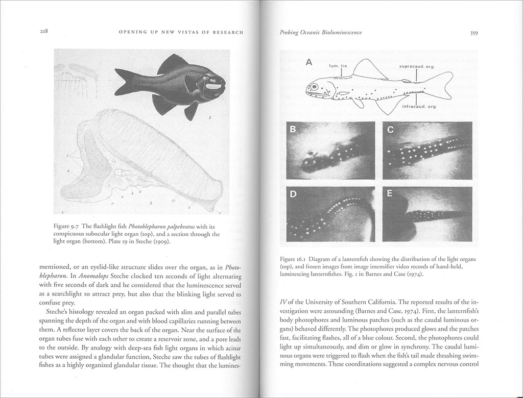 LUMINOUS CREATURES: THE HISTORY AND SCIENCE OF LIGHT PRODUCTION IN LIVING ORGANISMS 4