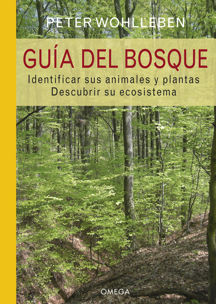 GUÍA DEL BOSQUE                  1