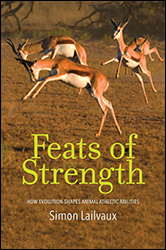 FEATS OF STRENGTH 1