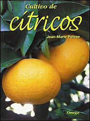 CULTIVO DE CÍTRICOS 2