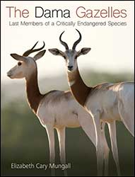 THE DAMA GAZELLE: LAST MEMBERS OF A CRITICALLY ENDANGERED SPECIES 1