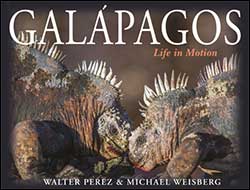GALÁPAGOS. LIFE IN MOTION 2