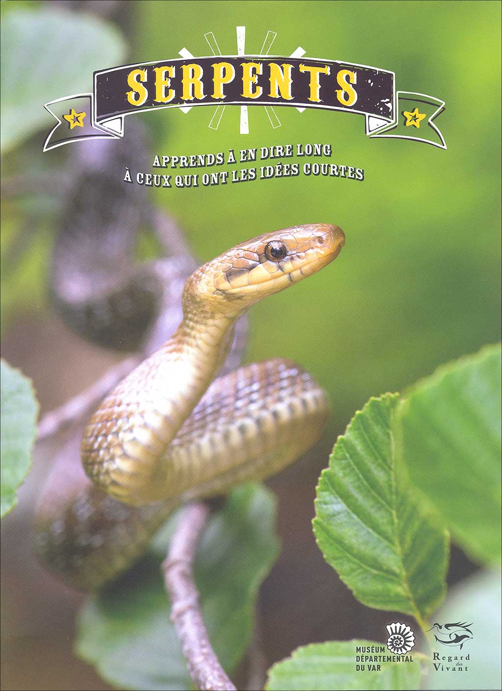 SERPENTS. APPRENDS À EN DIRE LONG À CEUX QUI ONT LES IDÉES COURTES 1