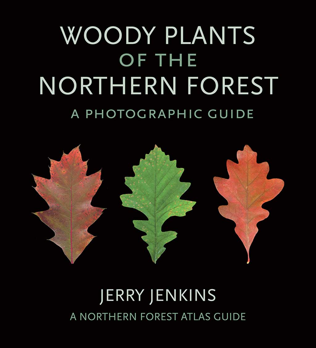 WOODY PLANTS OF THE NORTHERN FOREST