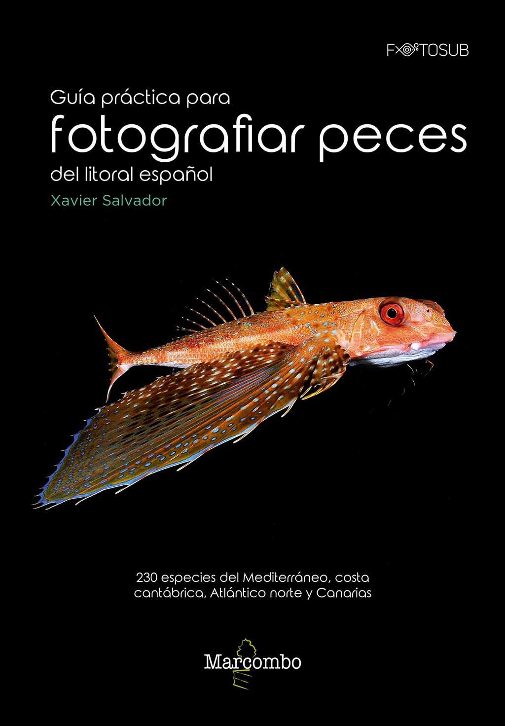 GUÍA PRÁCTICA PARA FOTOGRAFIAR PECES DEL LITORAL ESPAÑOL 1