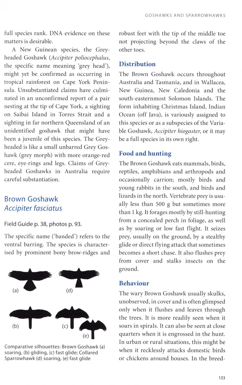 BIRDS OF PREY OF AUSTRALIA: A FIELD GUIDE 6