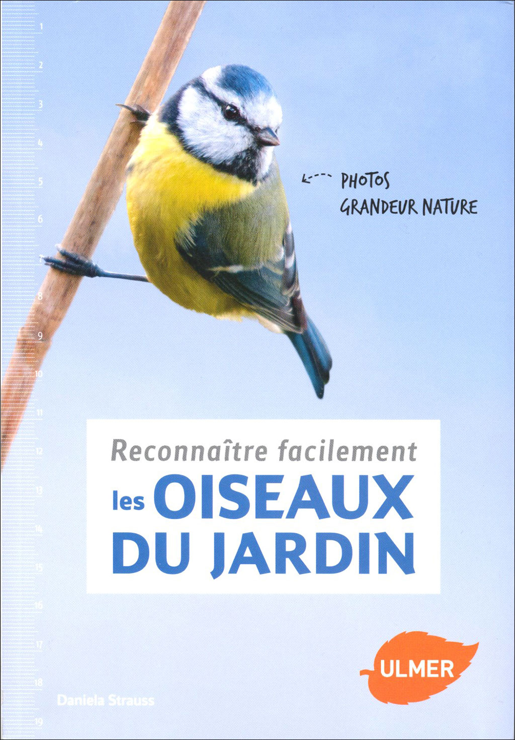 RECONNAITRE FACILEMENT LES OISEAUX DU JARDIN