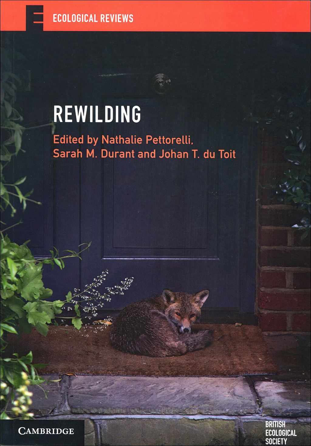 REWILDING