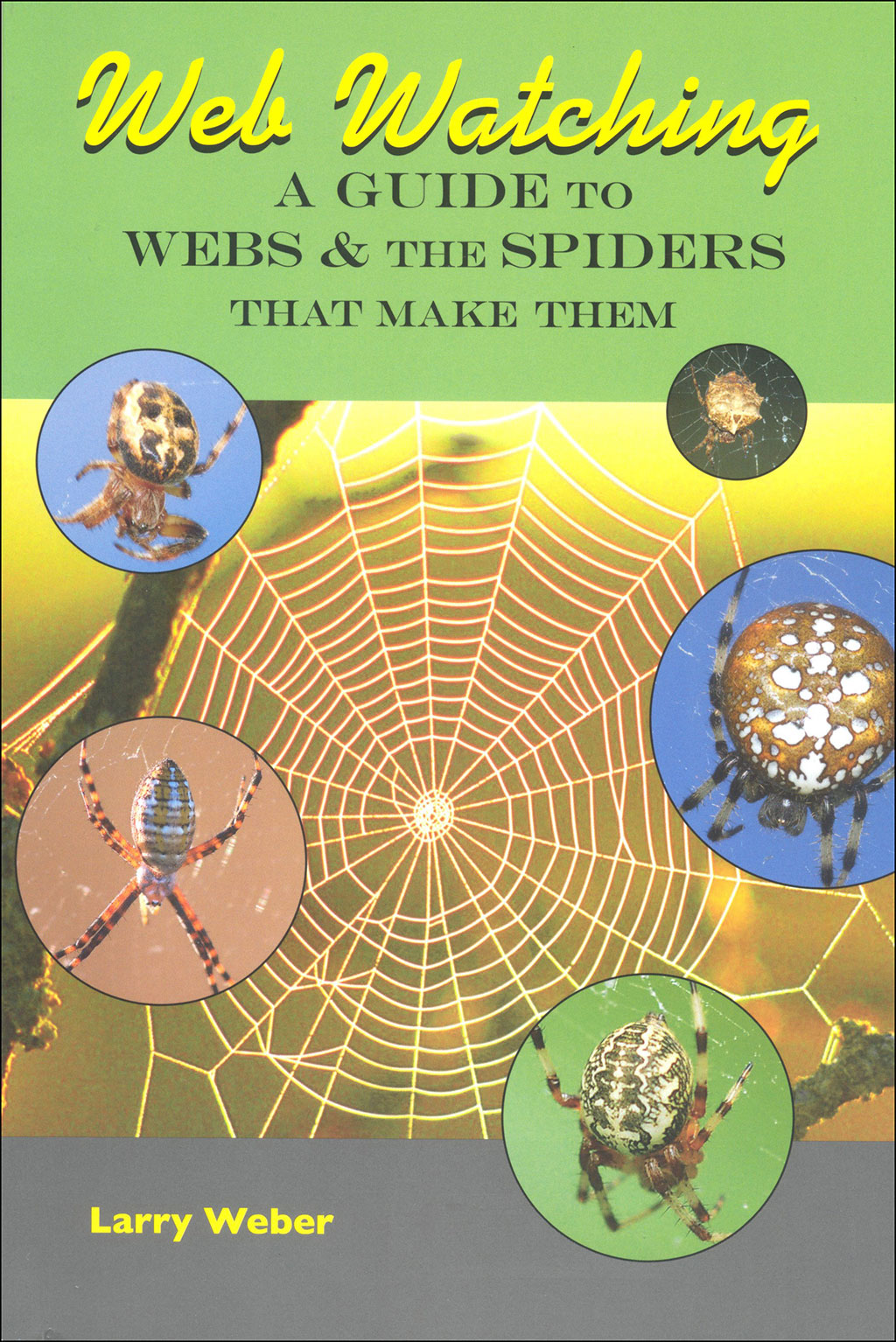 WEB WATCHING: A GUIDE TO WEBS & THE SPIDERS THAT MAKE THEM