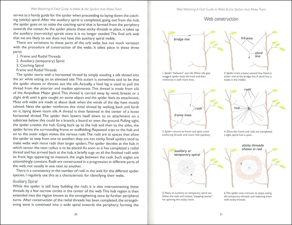 WEB WATCHING: A GUIDE TO WEBS & THE SPIDERS THAT MAKE THEM 2