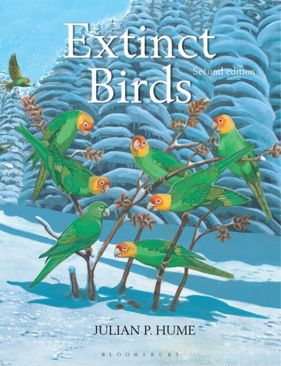 EXTINCT BIRDS.