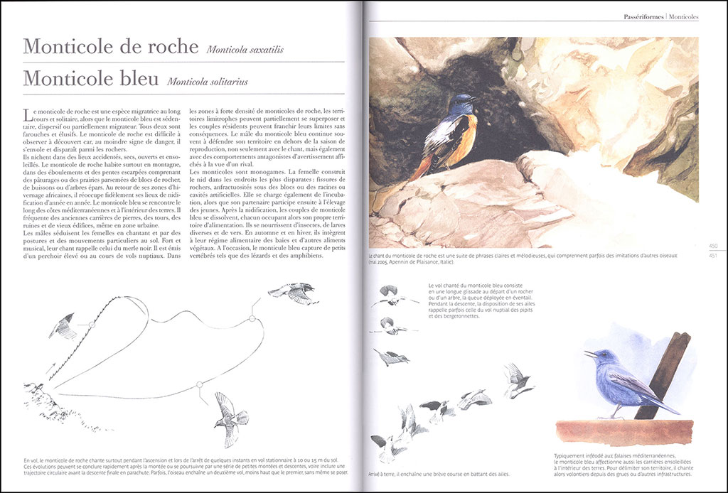 LE COMPORTEMENT DES OISEAUX D'EUROPE 4