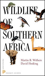 WILDLIFE OF SOUTHERN AFRICA 1