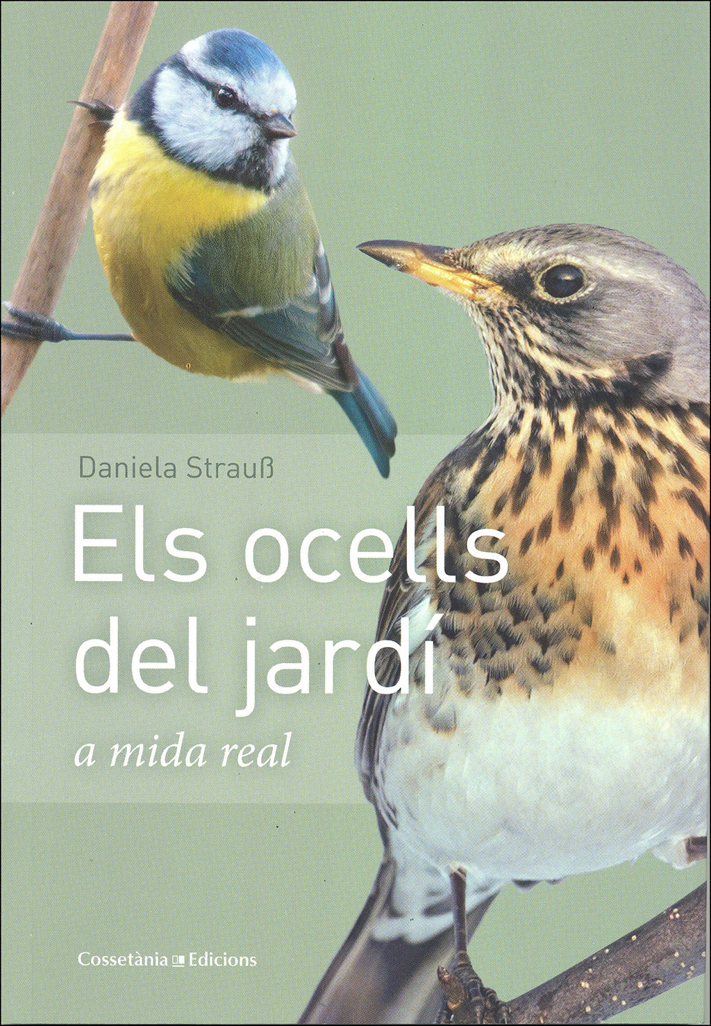 ELS OCELLS DEL JARDÍ A MIDA REAL 1