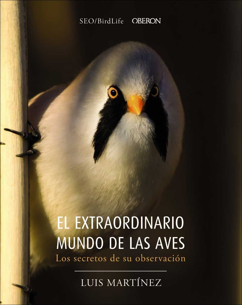 EL EXTRAORDINARIO MUNDO DE LAS AVES 1