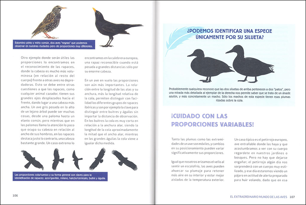 EL EXTRAORDINARIO MUNDO DE LAS AVES 3
